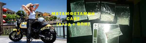 прущие грибы Магас