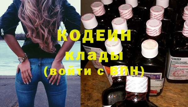 прущие грибы Магас