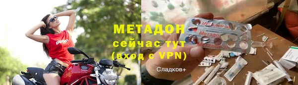 прущие грибы Магас