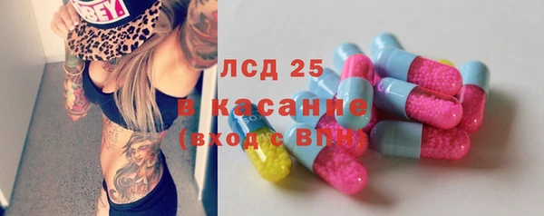 прущие грибы Магас