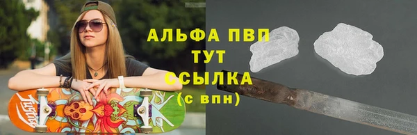прущие грибы Магас
