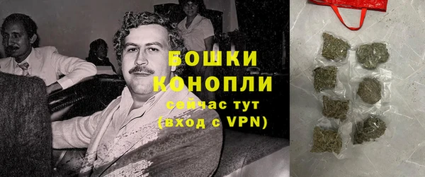 крисы Майский