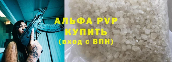 прущие грибы Магас