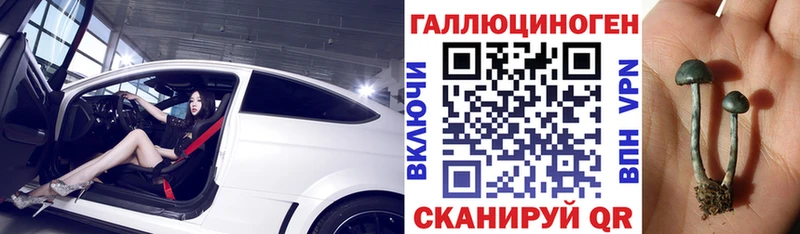 Псилоцибиновые грибы Psilocybe  как найти закладки  Чулым 